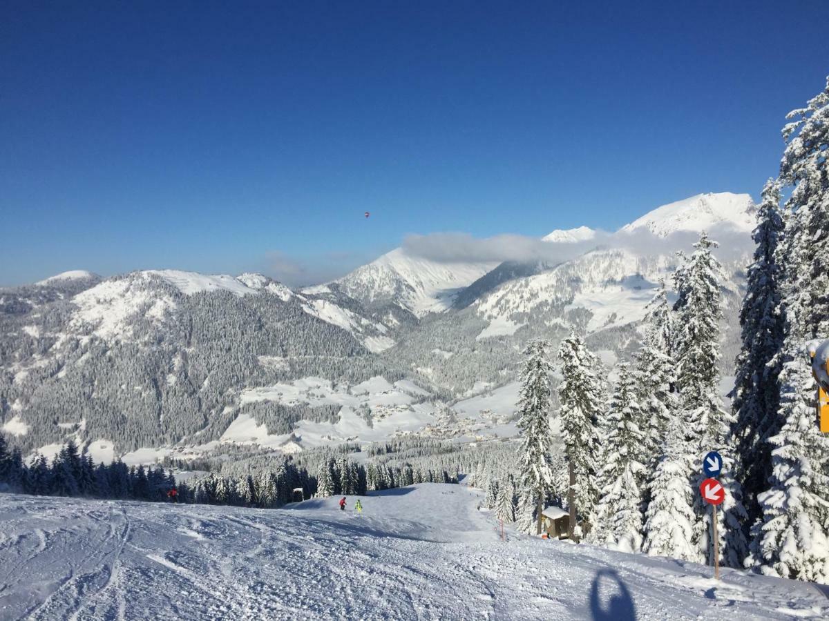 Ferienwohnung Dachstein Russbach am Pass Gschütt Exterior foto